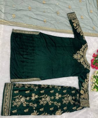 New Designer Party Wear Heavy Viscose Velvet Top With Pent